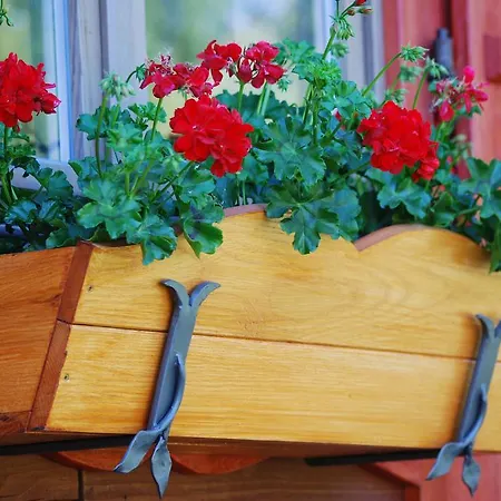 Hermanowka Фермерский дом *